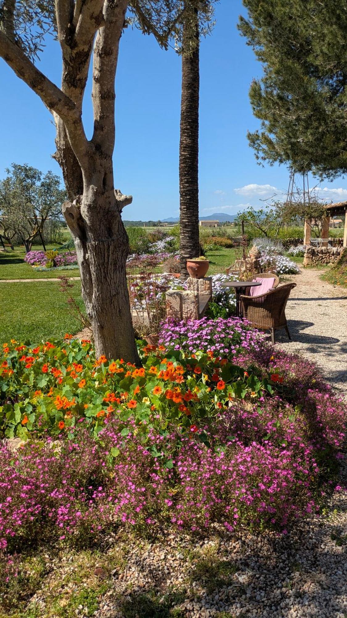 Agroturismo Finca Sant Blai Campos  Exterior foto