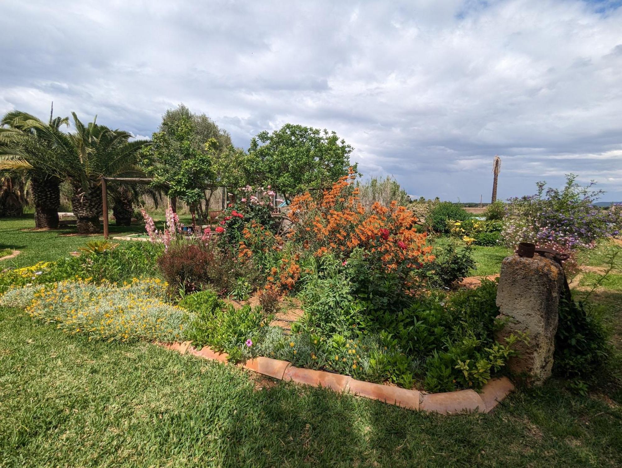Agroturismo Finca Sant Blai Campos  Exterior foto