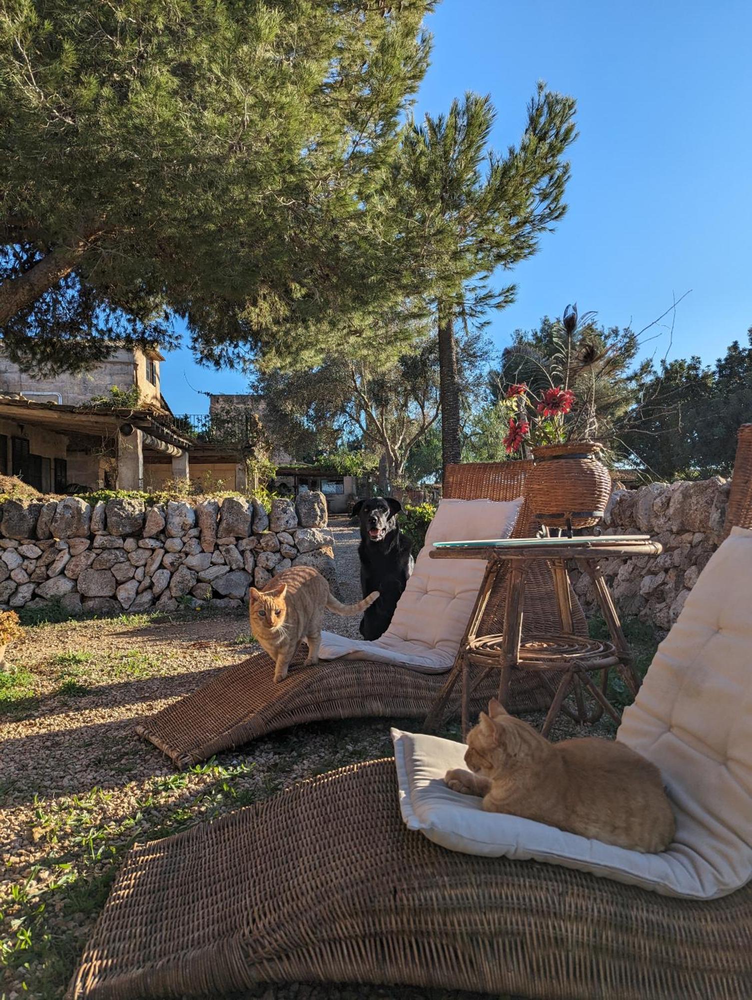 Agroturismo Finca Sant Blai Campos  Exterior foto